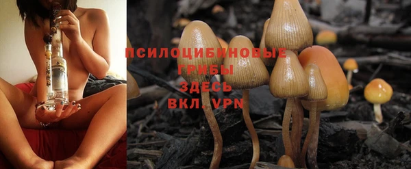 альфа пвп Бородино