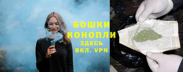 альфа пвп Бородино