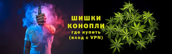 крисы Бугульма