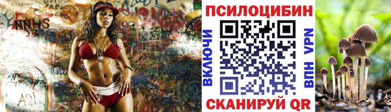 Купить  Лысково  Псилоцибиновые грибы мицелий 